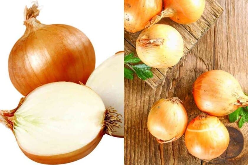Vidalia Onion vs Yellow Onion
