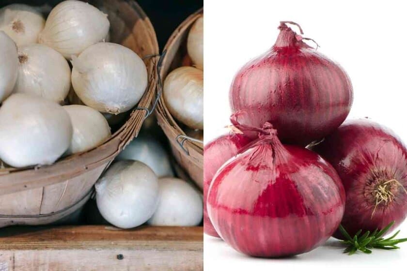 White Onion vs Red Onion