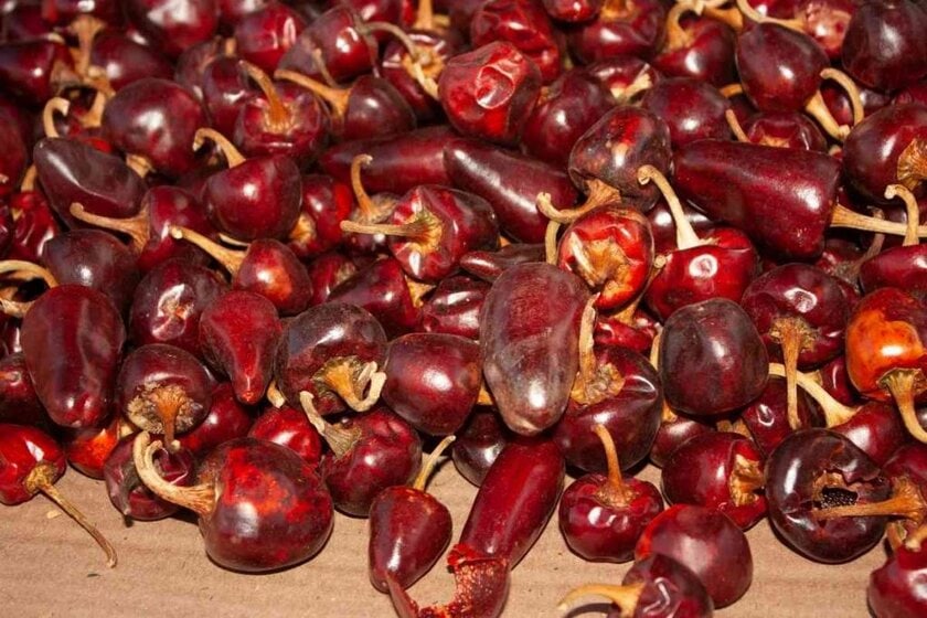 Cascabel Chiles Substitutes
