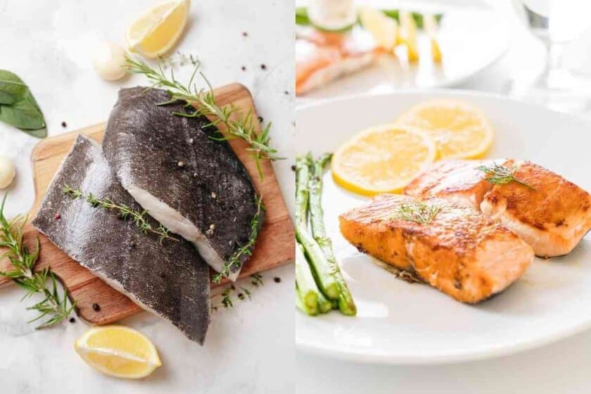 Halibut vs Salmon