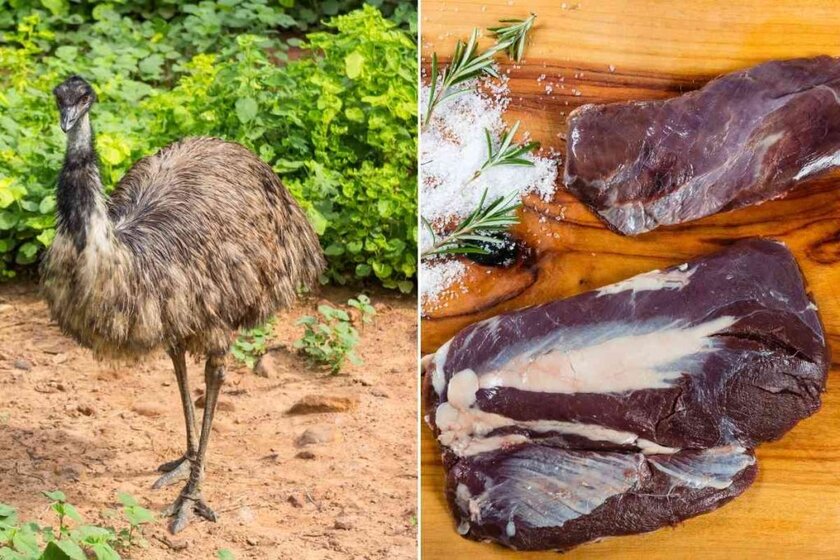 What Does Emu Taste Like