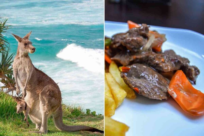 What Does Kangaroo Taste Like