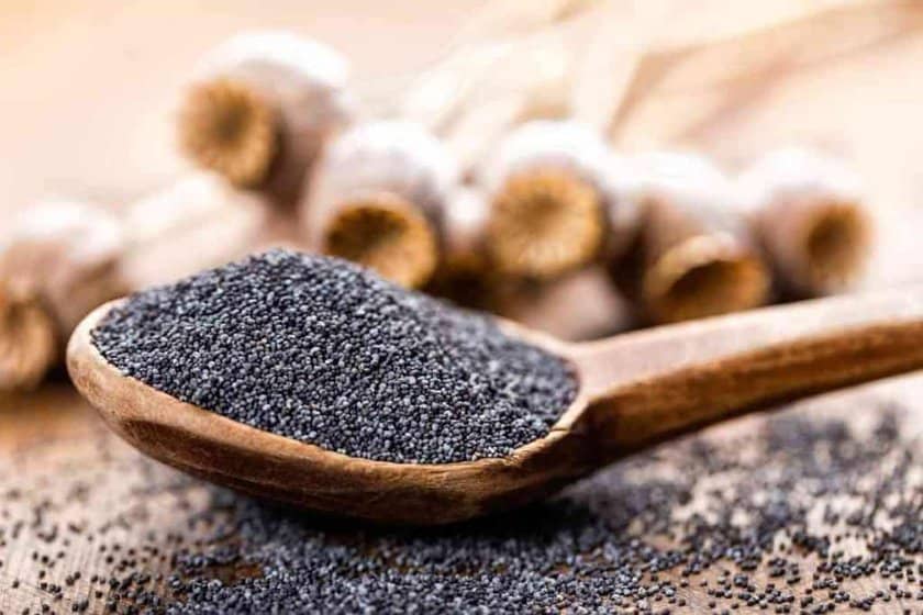 Substitutes for Poppy Seed