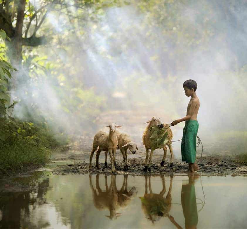 45+ Fotografi Alam Pedesaan Indah Yang Menyejukan Hati 39 38. Foto Keindahan Alam Pedesaan - Original Achmad Munasit / Asit - Design Erlistic