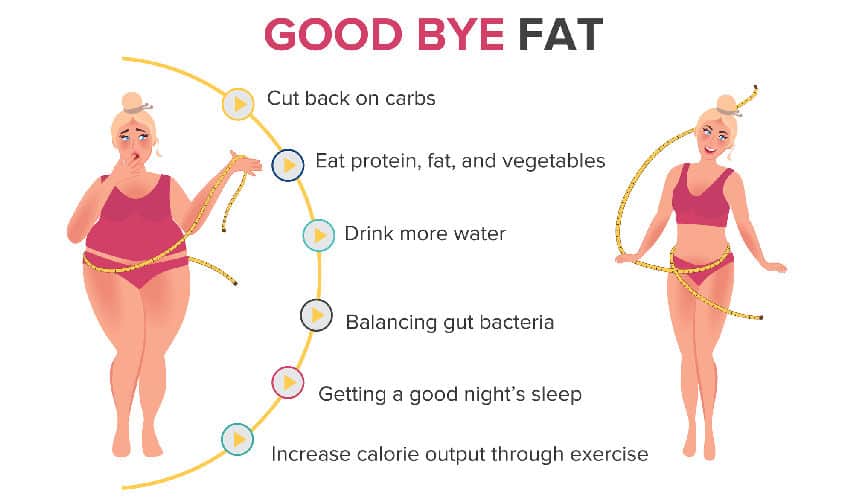 16 Best Strategies To Get Rid Of Fat