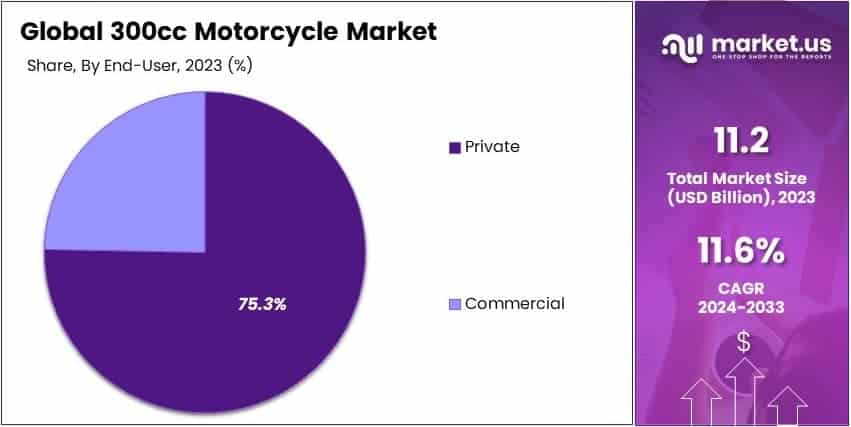 300cc Motorcycle Market By Share