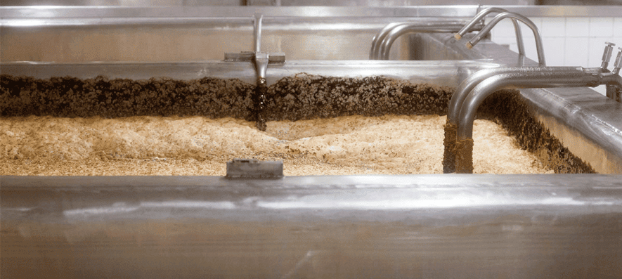 Levadura en fermentación