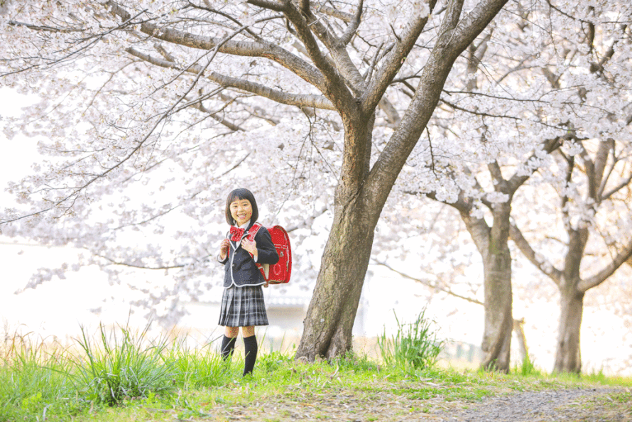 入学写真　群馬　桜