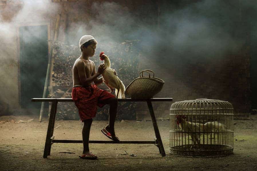 45+ Fotografi Alam Pedesaan Indah Yang Menyejukan Hati 8 04. Fotografi Keindahan Alam Dusun - Fotografer Achmad Munasit / Asit - Design Erlistic