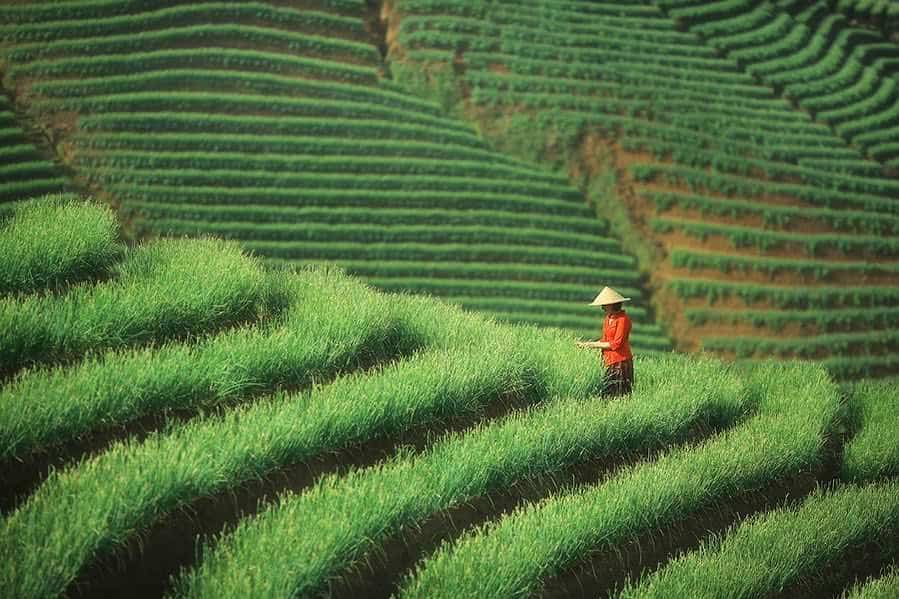 45+ Fotografi Alam Pedesaan Indah Yang Menyejukan Hati 15 15. Pemandangan Alam Pegunungan - Karya Achmad Munasit / Asit - Design Erlistic