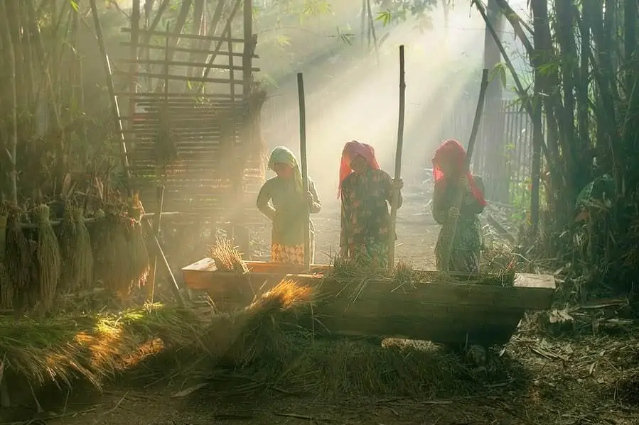 47. Gambar Lingkungan Pedesaan - Karya Achmad Munasit / Asit - Design Erlistic