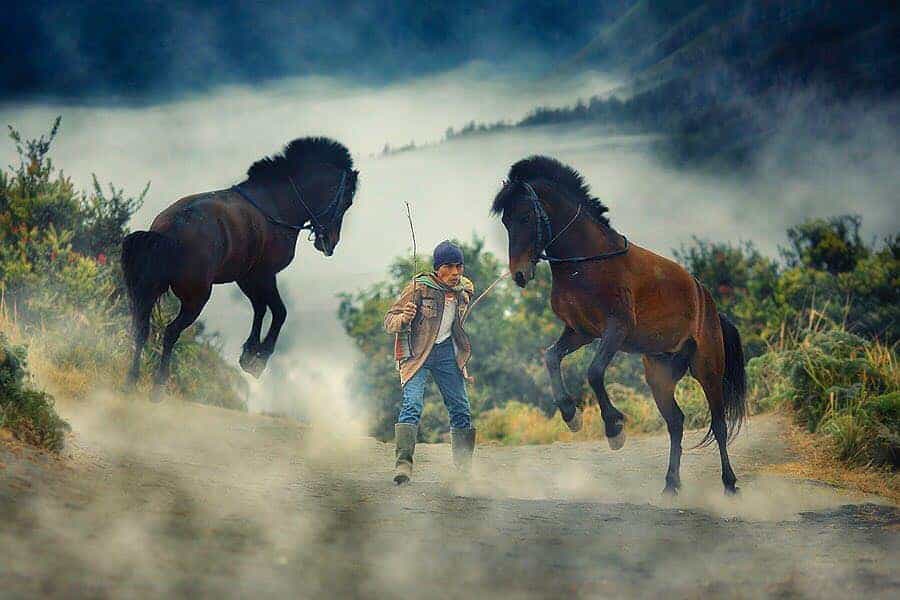 42+ Potret Masyarakat Desa Terbaik Karya Fotografer Indonesia 46 17. Potret Masyarakat Desa - Karya Achmad Munasit / Asit - Design Erlistic