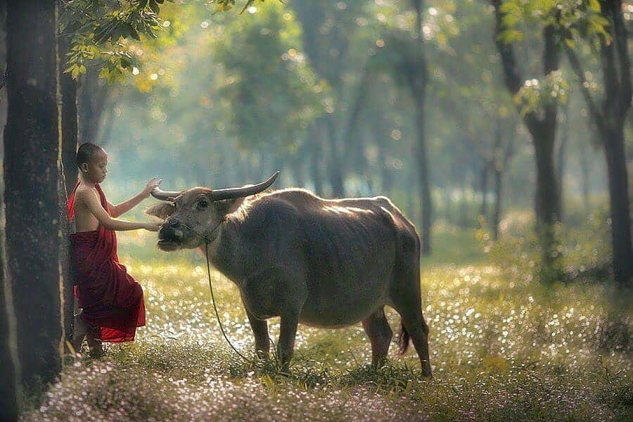 27. Photo Suasana Dusun - Karya Achmad Munasit / Asit - Design Erlistic