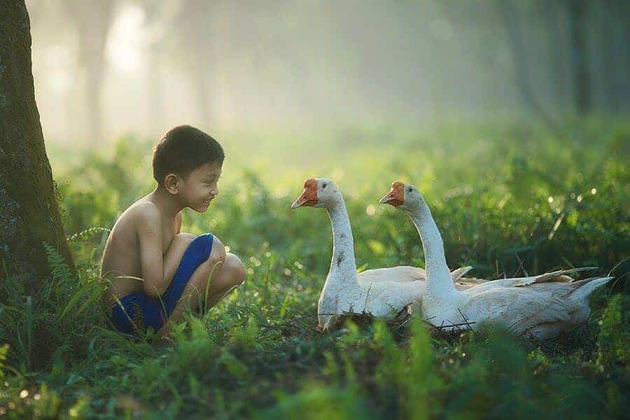 42+ Potret Masyarakat Desa Terbaik Karya Fotografer Indonesia 22 21. Gambaran Adat Budaya Pedesaan - Karya Achmad Munasit / Asit - Design Erlistic