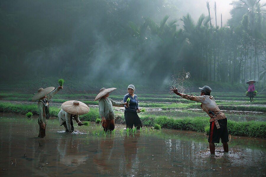 31. Photo Warga Dusun - Karya Achmad Munasit / Asit - Design Erlistic