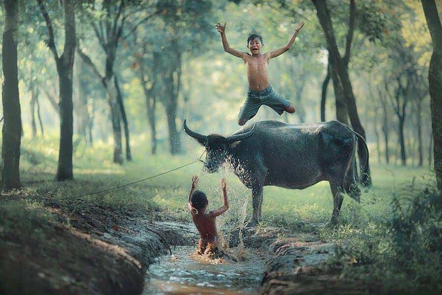 32. Foto Suasana Alam Perkampungan - Karya Achmad Munasit / Asit - Design Erlistic