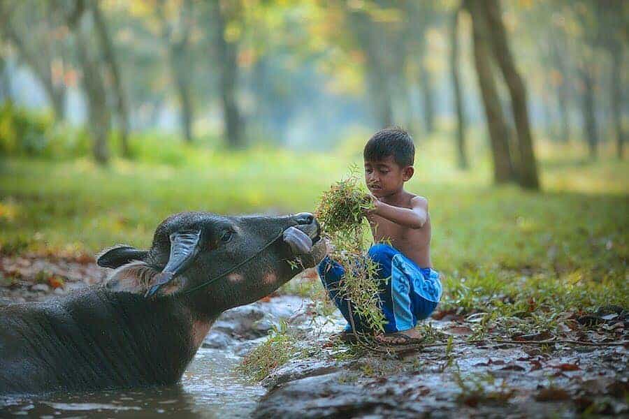 42+ Potret Masyarakat Desa Terbaik Karya Fotografer Indonesia 25 25. Potret Masyarakat Desa - Karya Achmad Munasit / Asit - Design Erlistic