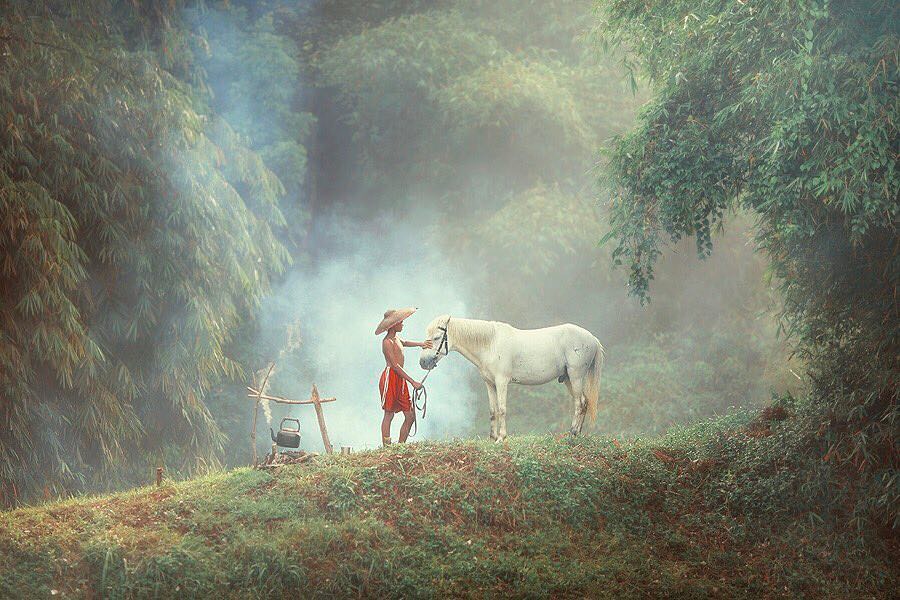 45+ Fotografi Alam Pedesaan Indah Yang Menyejukan Hati 42 41. Fotografi Keindahan Alam Desa - Photographer Achmad Munasit / Asit - Design Erlistic