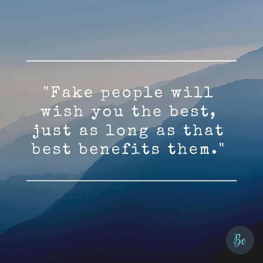 Fake people Quotes