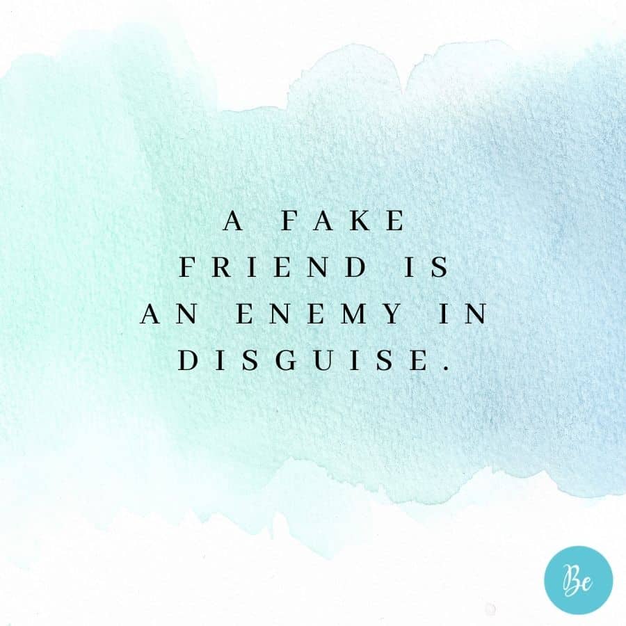 quotes about people being fake