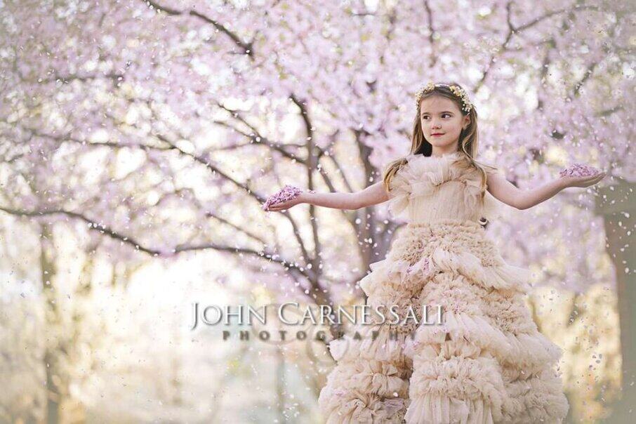 Should I Hire Professional Photographers Near Me