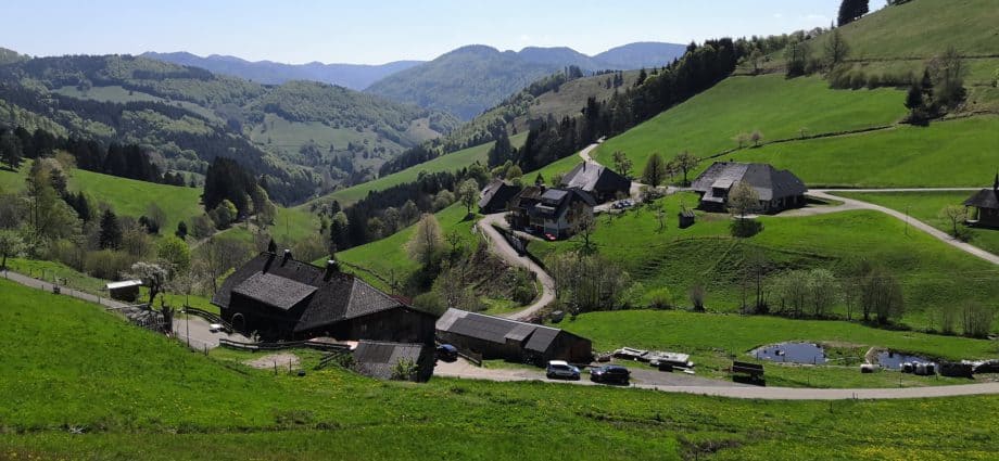 Wandern im Schwarzwald