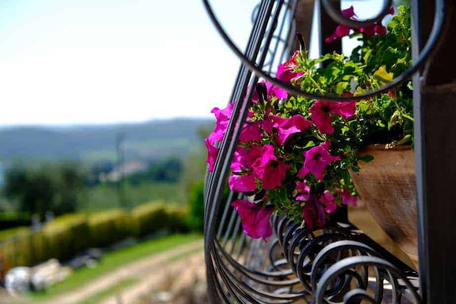 Gesatltung von Balkon und Terrasse gestalten
