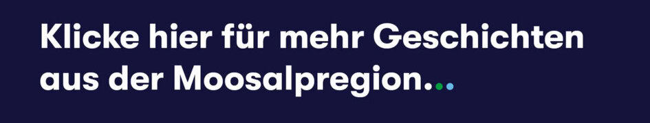 Banner Mehr Geschichten