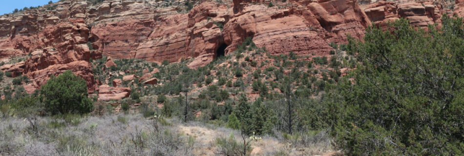 hypnotic trips, hypnosis, hiking, best self