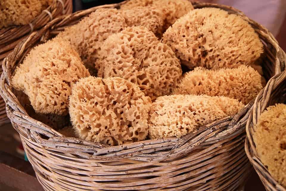 Greece leads in the production of Natural sponge