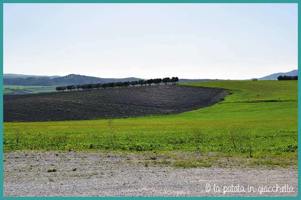 La zona della Cripta del Peccato Originale