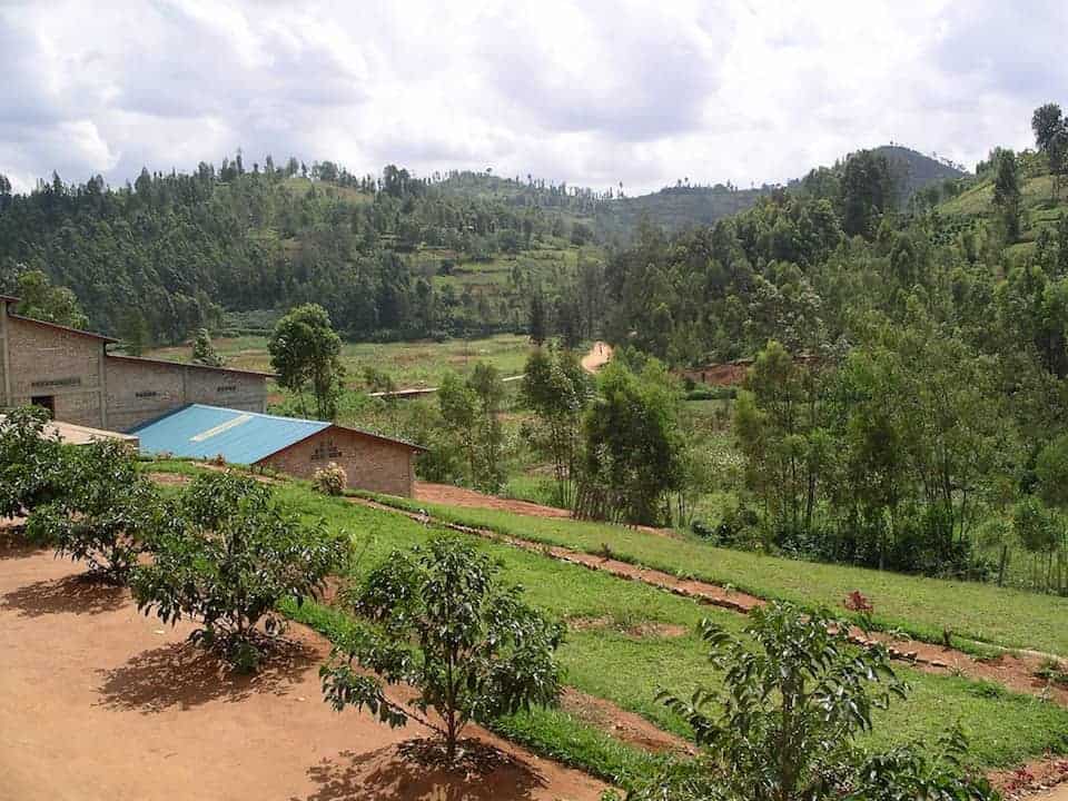 Coffee farm in Rwanda