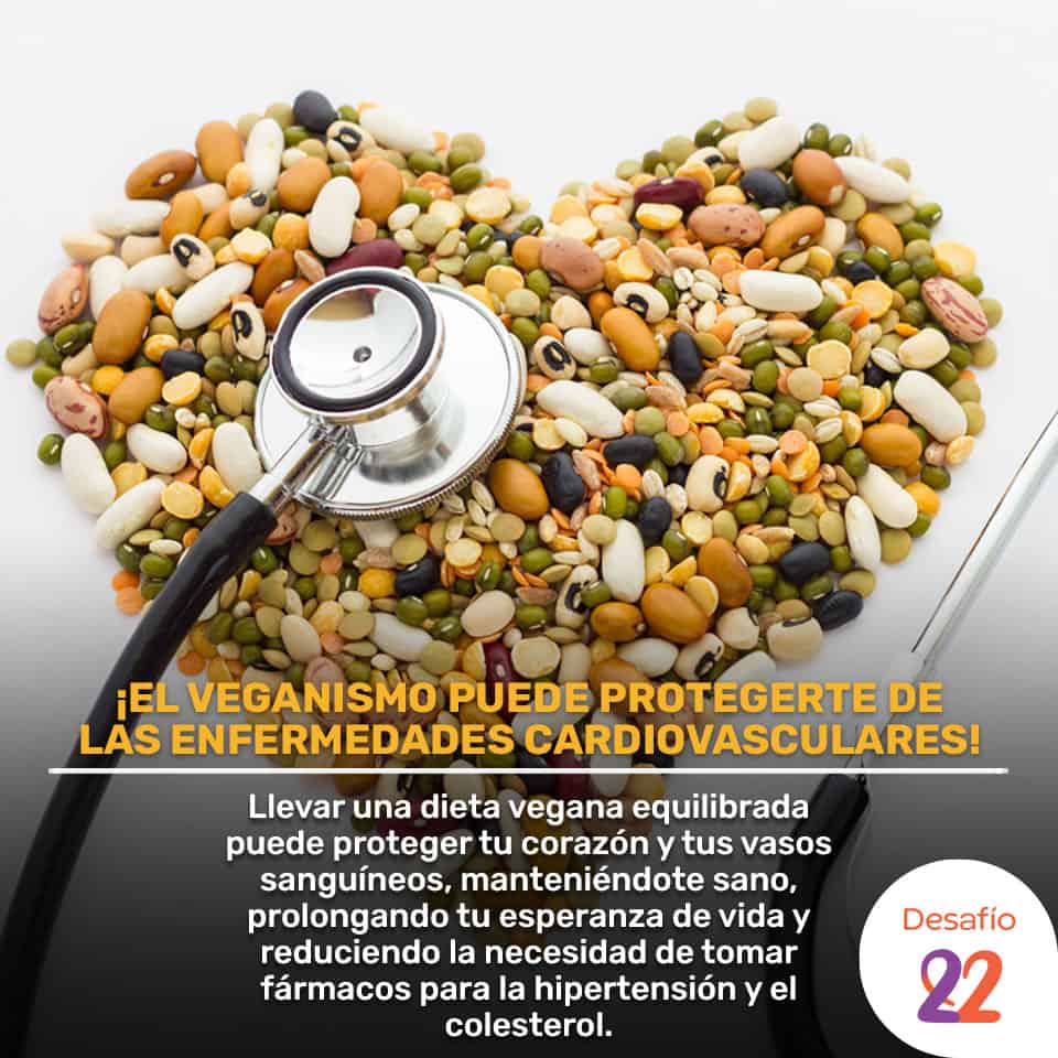 EnfermedadesCardiovasculares EnfermedadesCardiovasculares