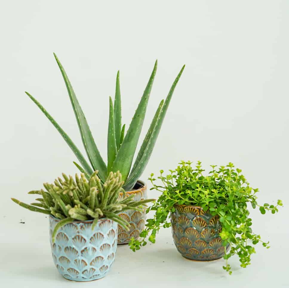 Osłonka ceramiczna retro LEAVES 10,5 cm