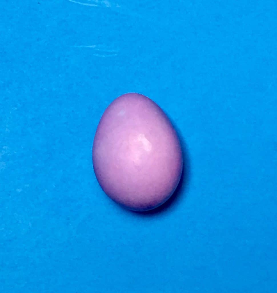 Purple dyed egg