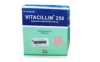 Vitacillin ampicilline gelules bp 250mg