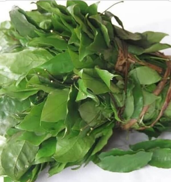 Fresh okazi leaves(eru-nkok frais)8oz