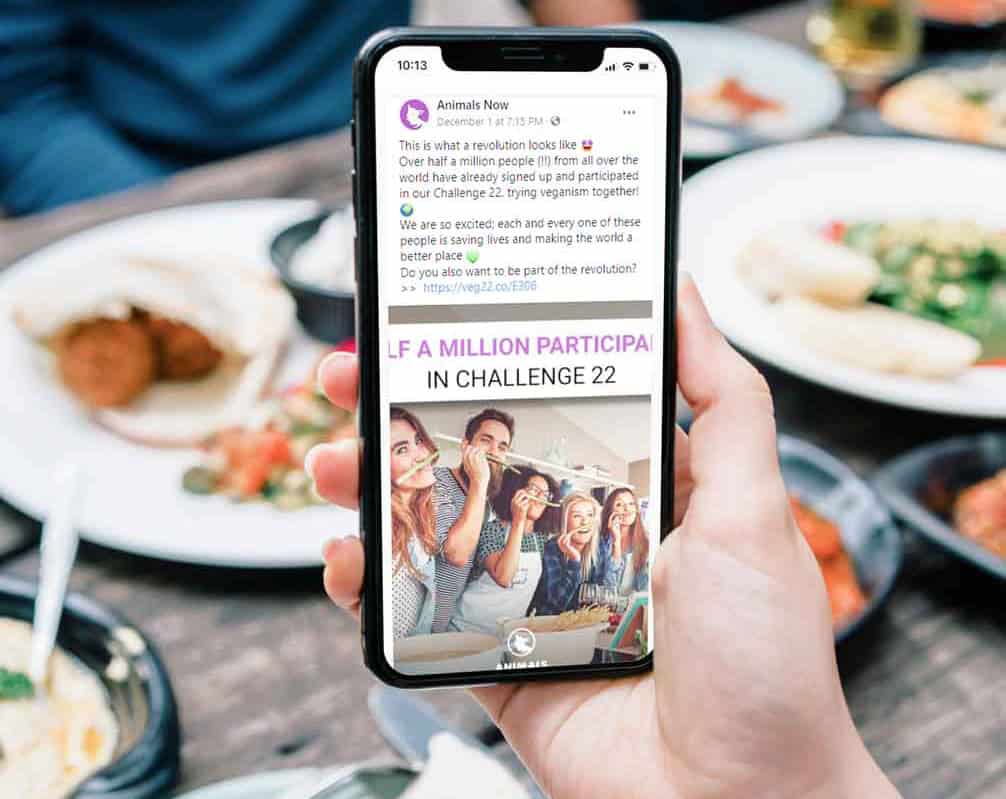 Animals Now's website shown in a phone in someone's hand