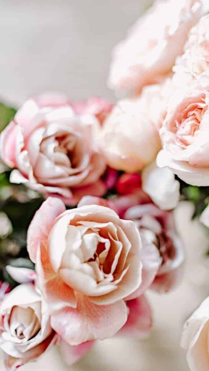 romantic flowers background for iPhone