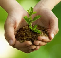 Plant the seed of an idea about getting back together.