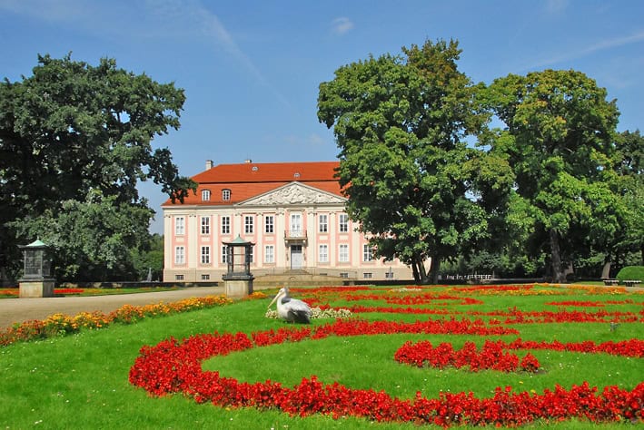 Schloss Friedrichsfelde - Pelikan