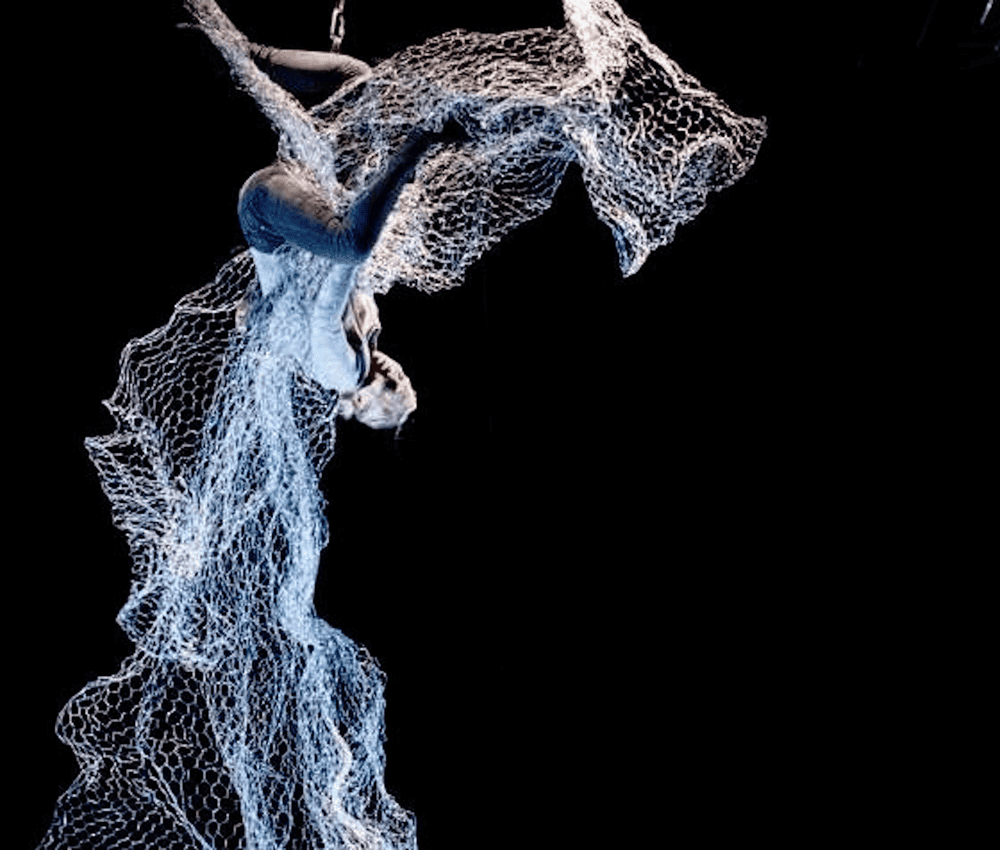 sc_-silver-lining-by-iva-kohoutova-1