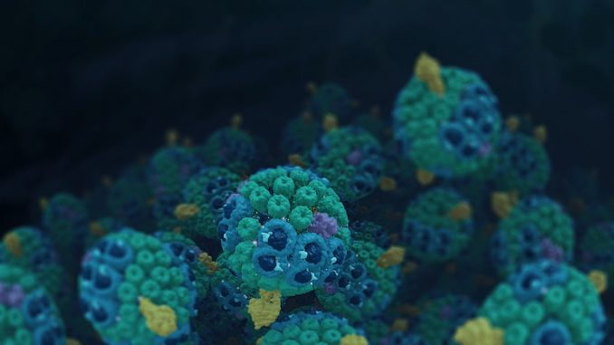 Frühe einzellige Bakterien konnten überleben, indem sie die Energie des Sonnenlichts einfingen (frühe Photosynthese). ©Spitz Creative Media