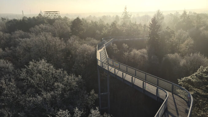 ©Baum&Zeit_ Winter_Baumkronenpfad