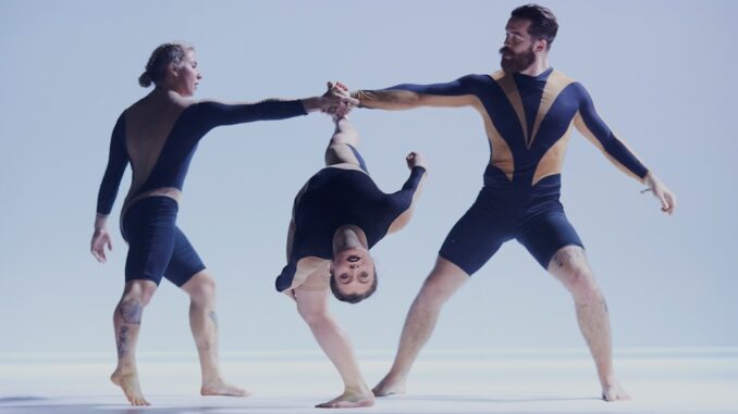 Wolf by Circa_Chamaeleon Berlin_Photo Andy Phillipson_9