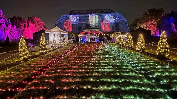 Christmas Garden Botanischer Garetn Berlin 2025
