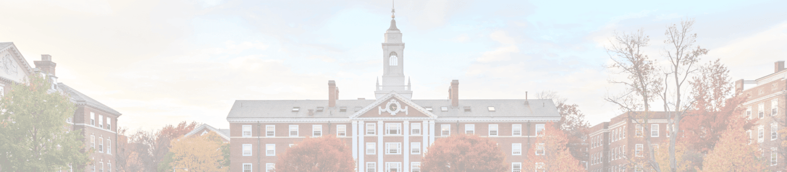 why nyu law essay reddit