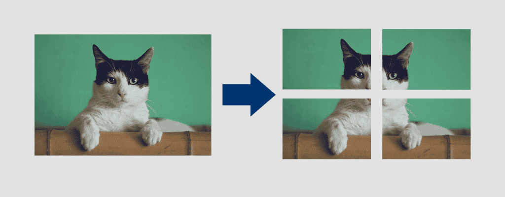 Example of splitting a photo of a cat into four tiles with split-image package