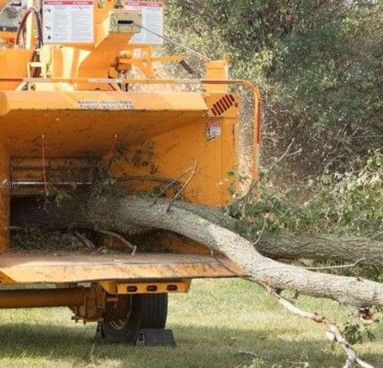 Browse Specs and more for the INTIMIDATOR™ 18XP – TOWABLE - Bobcat of Indy