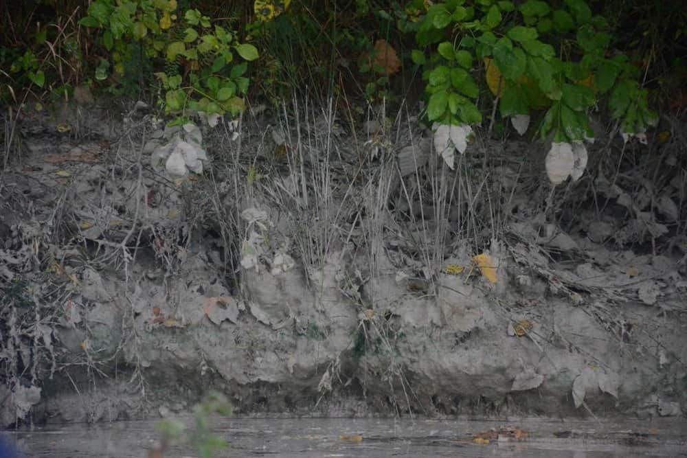 Cenospheres— silica waste commonly found in coal ash— are visible along the shoreline of the James River. Photo: James River Association